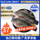 GUO LIAN國聯(lián)水產(chǎn)三去羅非魚(yú)4條共2.8斤凈重非洲鯽魚(yú)水產(chǎn)生鮮食材源頭直發(fā)