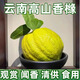 云南香櫞果鮮果聞香佛手瓜清新空氣佛手柑鮮果擺件供奉佛手香櫞 2斤左右【云南高山香櫞果1顆】