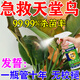 天堂鳥營養(yǎng)液有機(jī)肥急救治黃葉子卷邊開裂黑斑枯萎促開花營養(yǎng)液 【急救天堂鳥】 300ml 1瓶