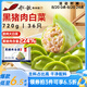船歌魚水餃黑豬肉白菜水餃720g/袋36只 健康早餐夜宵 手工速凍餃子 生鮮速食