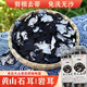 昱品源安徽黃山石耳80g 免洗石耳名貴山珍干貨石壁花巖耳巖菇干貨燉湯