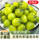 京地達山東圣女果綠色千禧小番茄西紅柿單果8g+凈重3斤裝源頭直發(fā)包郵