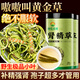 神農金康腎精草100g 嗷嗷叫黃金草 野生長(cháng)白山腎精茶化石草東北男士養生茶