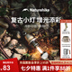 Naturehike挪客戶外便攜式露營燈野營充電照明燈隨身手電筒掛燈營地氛圍燈 迷霧棕【贈數(shù)據(jù)線+掛繩】