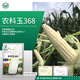 京農研玉米種子336甜糯玉米黑白鮮食水果玉米農科院大田打糧玉米種籽孑 農科玉368甜糯玉米 約600粒