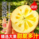 新疆阿克蘇冰糖心蘋(píng)果正品9斤新鮮水果當季整箱紅富士丑蘋(píng)果X 5斤精選裝