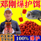谷蜀香過(guò)江風(fēng)顆粒餌正品釣魚(yú)餌料強效誘魚(yú)直接掛鉤鮮丹顆粒超濃腥 三瓶【大小通殺 瘋狂上魚(yú)】
