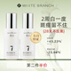 枝白 WHITE BRANCH枝白377美白淡斑精華液去黃提亮淡痘印煙酰胺抗氧化男女學(xué)生 60ml