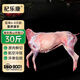 杞樂康 寧夏山羊肉 整只 精品黑山羊30斤禮盒 烤全羊燉煮食材 源頭直發(fā)
