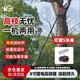 凱姿（KAZZ）電動(dòng)高枝鋸21V可伸縮長(cháng)桿果樹(shù)鋸充電式電鏈鋸園林鋰電高空鋸