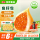 安井 魚(yú)籽包 240g 1包 魚(yú)糜含量45%  鎖鮮裝火鍋麻辣燙關(guān)東煮丸料