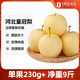 趣嘗鮮河北正宗皇冠梨 9斤 單果230g+ 生鮮當季水果 源頭直發(fā)