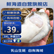 鮮海道 鮮活乳山生蠔3XL 凈重5斤 13-17只 生鮮海鮮貝類(lèi) 源頭直發(fā)