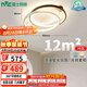 雷士（NVC）星空氛圍客廳燈燈具簡約LED吸頂燈北歐房間燈書房-星雨圓包安裝