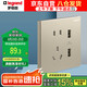羅格朗（LEGRAND）開關(guān)插座面板 仕典米蘭金大面板五孔帶雙口USB插座