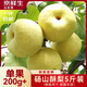 京鮮生安徽碭山酥梨凈重5斤裝單果200g+ 生鮮水果源頭直發(fā)包郵