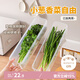 Daisy Leaf 日本香菜小蔥保鮮盒冰箱收納蔥花整根保鮮神器食品級意面條盒