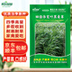 斡爾園林進(jìn)口四倍黑麥草種子四季耐寒牧草種子雞鴨牛羊魚(yú)草畜牧養殖草籽
