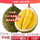 北馬榴[液氮]馬來(lái)西亞正宗檳城榴蓮貓山王d197貓山王榴蓮只賣(mài)新日期貨 AAA級D197貓山王榴蓮5.5-6斤(保5房)