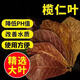 是光魚(yú)缸燈全光譜led燈水族照明專(zhuān)用南美燈巴西龜守宮烏龜曬背燈 瘋狂水樹(shù)葉欖仁葉（5片）