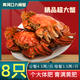 黃河口（HHK）【活蟹】黃河口大閘蟹4.5公3.5母禮盒特大10只源頭直達足斤足兩 8只