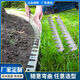 六奧（ICYLA）不銹鋼草石隔離帶分割條庭院綠化草坪圍邊加厚型擋土板花園收邊條 (201)15cm高3cm寬-(1mm厚) 無(wú)規格