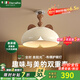 EternalFire意菲意「布偶」奶油風吊燈兒童房臥室餐廳護眼燈萌趣造型裝飾燈具 【布偶貓】三色調(diào)光