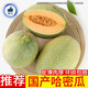 流芷國產(chǎn)哈密瓜 新鮮水果生鮮 整箱約5.5-4.7斤凈含量2000g