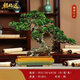 福格達（FUGEDA）銅迎客松擺件公司喬遷開(kāi)業(yè)禮物客廳玄關(guān)裝飾辦公室桌面前臺裝飾品  錦繡江山【高檔禮盒】