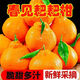 京碩果四川春見(jiàn)耙耙柑新鮮應季孕婦水果整箱當季丑橘丑八怪粑粑柑 5斤【精選好果】
