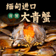 緬甸青蟹鮮活母蟹膏蟹大螃蟹超大只3A膏蟹海蟹猷蠓海鮮水產(chǎn)蟹2斤 300g+/只 到手3-4只共2斤 1kg