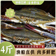 鮮傲江湖舟山梭子蟹鮮活螃蟹大號野生大螃蟹新鮮冷凍海鮮水產(chǎn)海蟹飛蟹白蟹 【個(gè)大肉多】5-7兩/只凈重4斤