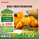 SHARP夏普 65英寸超清4K 120HZ高刷智慧語音GL6500A 3+64G智能網(wǎng)絡(luò)液晶平板電視機護眼電視 65英寸 3+64G內(nèi)存