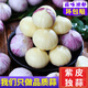味小仙云南紫皮獨(dú)頭蒜干蒜 2025新蒜大蒜頭蔬菜生鮮 大號(hào)(3.0cm-3.5cm)干蒜 5斤