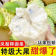 喜道鶴牛奶鳳梨釋迦果熱帶特大果應季水果番荔枝佛頭摩尼果林檎整箱小個5斤裝-精選釋迦大果(6-8個果)大果