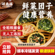 頌尚福鮮菜菜團(tuán)子 黃金團(tuán)子粗糧膳食雜糧包子窩頭早餐早點速食加熱即食 8個裝-混合裝（各2個）