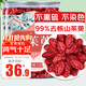 養(yǎng)益君山茱萸250g（2罐）茱萸肉 陜西生曬山萸肉去核山茱萸搭中藥材