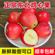 拉爾莊園【順豐】東北雞心果 雞心海棠果 沙果 錦繡海棠香妃沙果 5斤（單果40g以上）