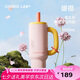 和序霸王杯陶瓷涂層內(nèi)膽吸管保溫大容量學(xué)生高顏值辦公室水杯-暖櫻