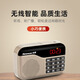 紐曼N63 收音機老人充電式可插卡FM調頻 迷你便攜式隨身聽(tīng) 小型戲曲播放器多功能藍牙音響半導體 金色