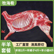 牧海肴原切羊小腿內蒙羊腱子羔羊肉切塊手把肉紅燒家庭燉肉食材清真羊肉 【萬(wàn)人購買(mǎi)】蘇尼特半羊套餐10斤
