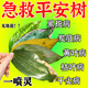 平安樹(shù)葉子干枯發(fā)黃急救治炭疽病黃葉干尖病殺菌劑營(yíng)養液專(zhuān)用肥料 一瓶裝300ml【一滴黃轉綠】