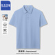 真維斯 Z純棉POLO衫短袖簡(jiǎn)約純色翻領(lǐng)輕熟商務(wù)T恤T0034 天藍 XL