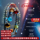 蔻詩(shī)哲 COASZE七星守護項鏈海藍寶白水晶金虎眼星座飾品七夕情人節送老婆送女友 七星守護項鏈