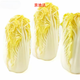 京地達山東新鮮黃心娃娃菜【一袋】一袋凈重500g+火鍋食材 源頭直發(fā)包郵