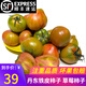 味小仙草莓柿子3斤（發(fā)順豐）東北鐵皮柿子綠腚硬西紅柿堿地番茄 普通裝 1.5kg