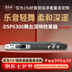 麥樂(lè)迪DSP6300卡拉ok混響器 數(shù)字音頻前級(jí)效果器 家庭影院防嘯叫調(diào)音臺(tái)處理器含話(huà)筒 調(diào)音臺(tái)均衡器 DSP6300藍(lán)牙升級(jí)版(含線(xiàn)) 標(biāo)準(zhǔn)版