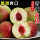 順豐正宗山東青州蜜桃冬桃雪蜜桃新鮮當季現摘脆桃毛桃半離核水果 【3斤裝】 普通裝