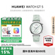 華為（HUAWEI）手表WATCH GT 5 41mm小表盤(pán)智能手表情緒健康血氧心率運動(dòng)監測男女長(cháng)續航手表【華為官方授權店】 41mm 小表 湖光青 官方標配