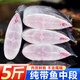 海之幫新鮮帶魚(yú)段冷凍刀魚(yú)中段特大號(hào)洋帶魚(yú)深海魚(yú)帶魚(yú)中段5斤凈重 帶魚(yú)段5斤凈重【純帶魚(yú)中段】